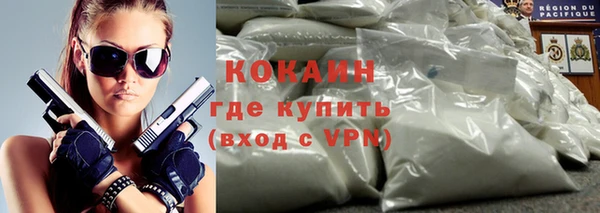 индика Аркадак