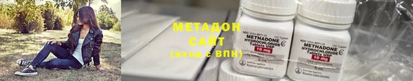 индика Аркадак