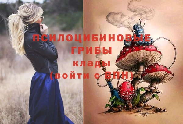 стафф Армянск