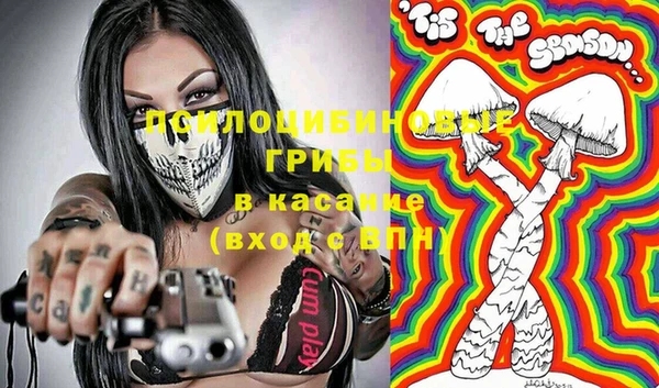 тгк Арсеньев