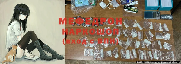 индика Аркадак