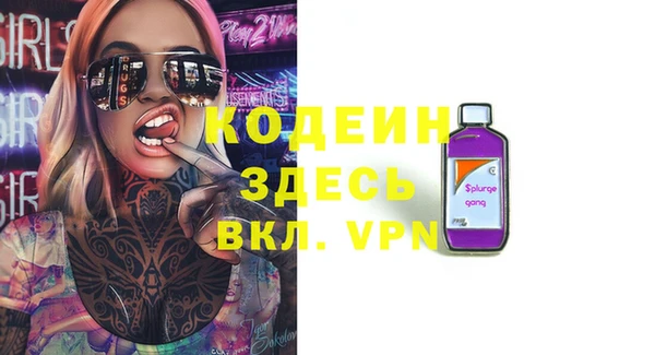 индика Аркадак
