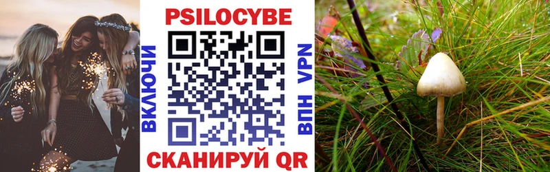 Псилоцибиновые грибы Magic Shrooms  ОМГ ОМГ рабочий сайт  Армянск  купить  сайты 